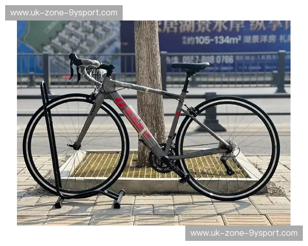 预测公路自行车：让每一次出行比未来更可靠